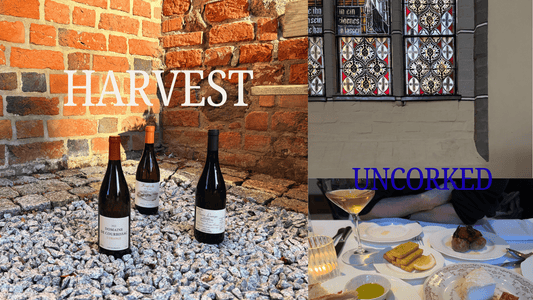 Natural Wine Picks for Autumn: What to Open When the Weather Turns - THE EARTH WINE
