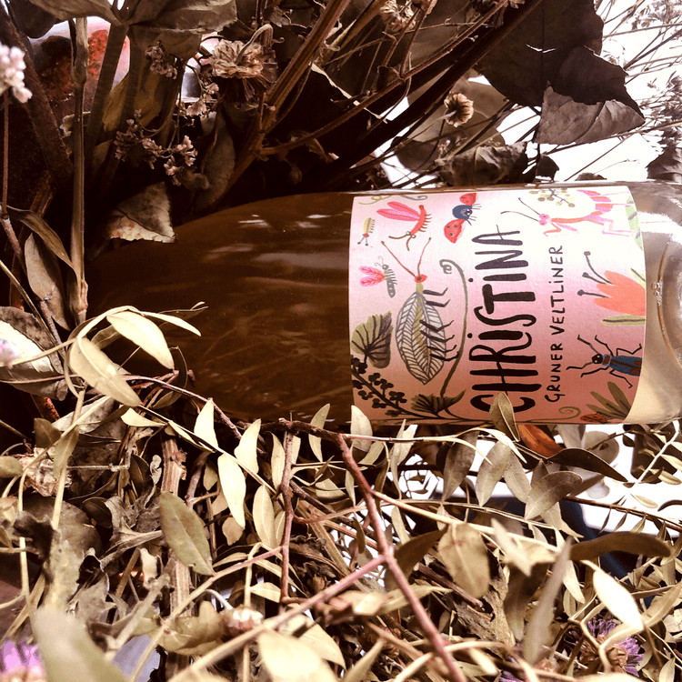 Adventure - THE EARTH WINE
