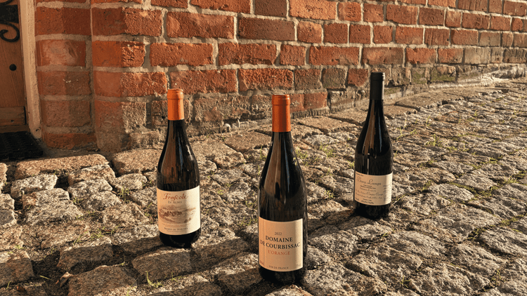 Autumn Collection - THE EARTH WINE