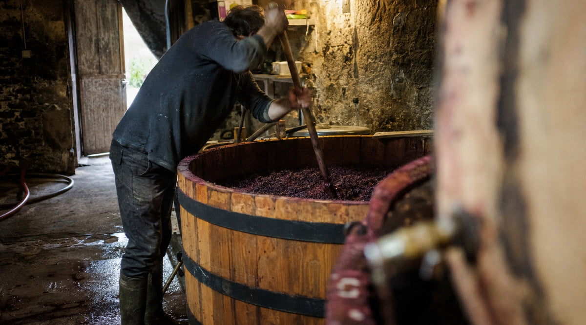 Winemaking in the cellar: working with grape skins