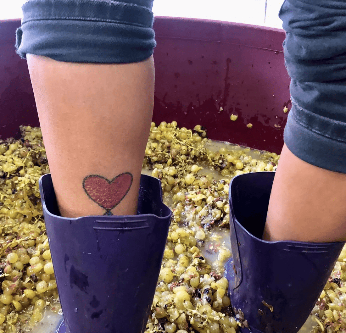 How Natural Wine Supports a Greener Planet 🌍 - THE EARTH WINE
