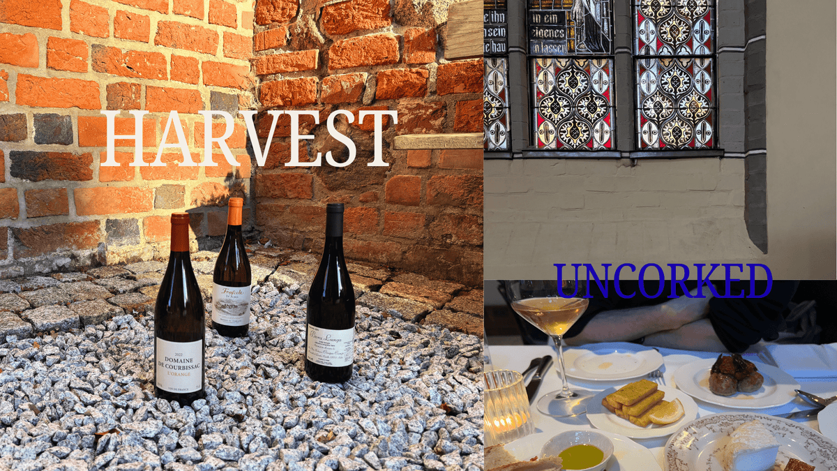 Natural Wine Picks for Autumn: What to Open When the Weather Turns - THE EARTH WINE