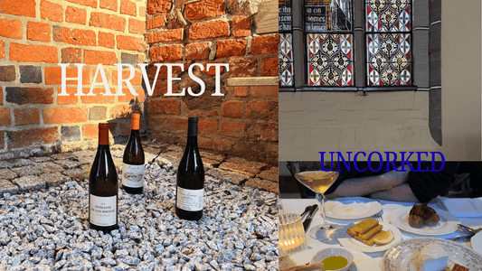 Natural Wine Picks for Autumn: What to Open When the Weather Turns - THE EARTH WINE