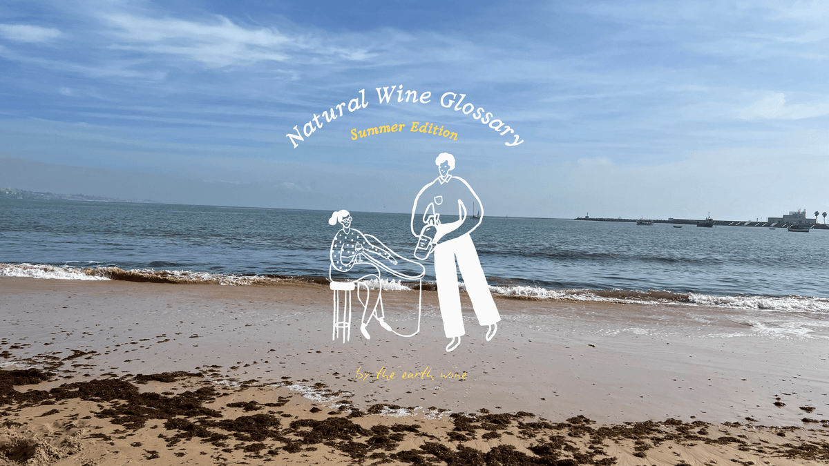 Natural Wine Summer Glossary - THE EARTH WINE