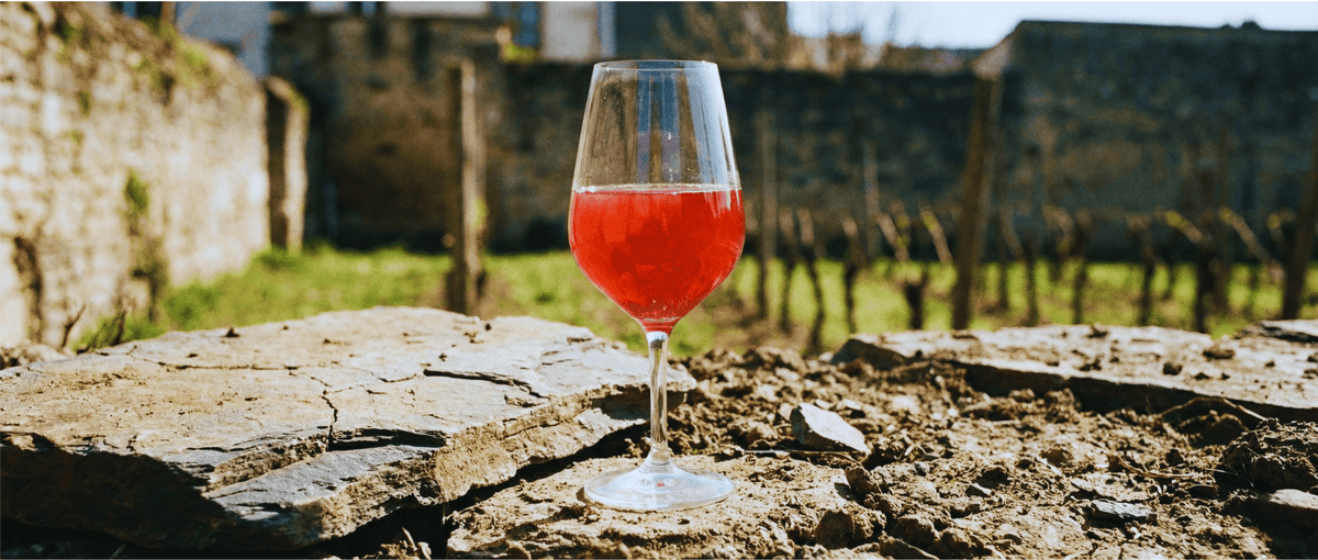New Year Detox? Don't Quit, Drink Better: Why Natural Wine is the "Cleaner" Choice - THE EARTH WINE