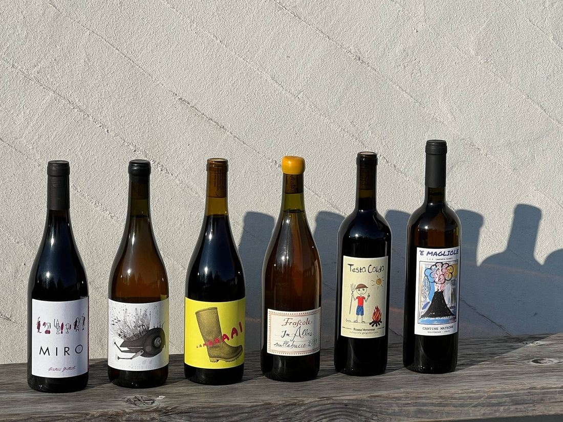 Spring Unfiltered: Wines That Keep It Real - THE EARTH WINE