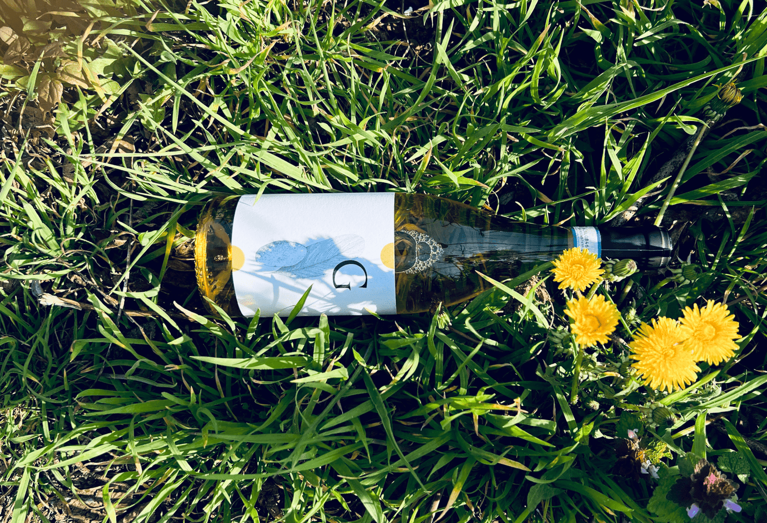 White Wine - THE EARTH WINE