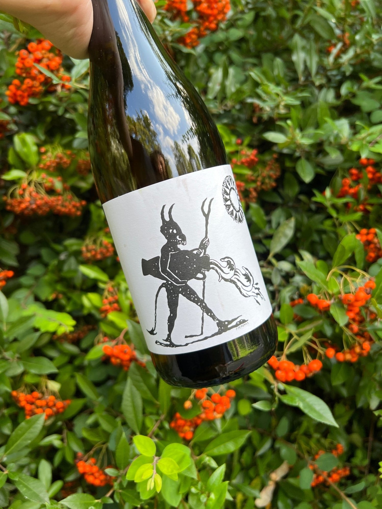 Adventure Collection - THE EARTH WINE