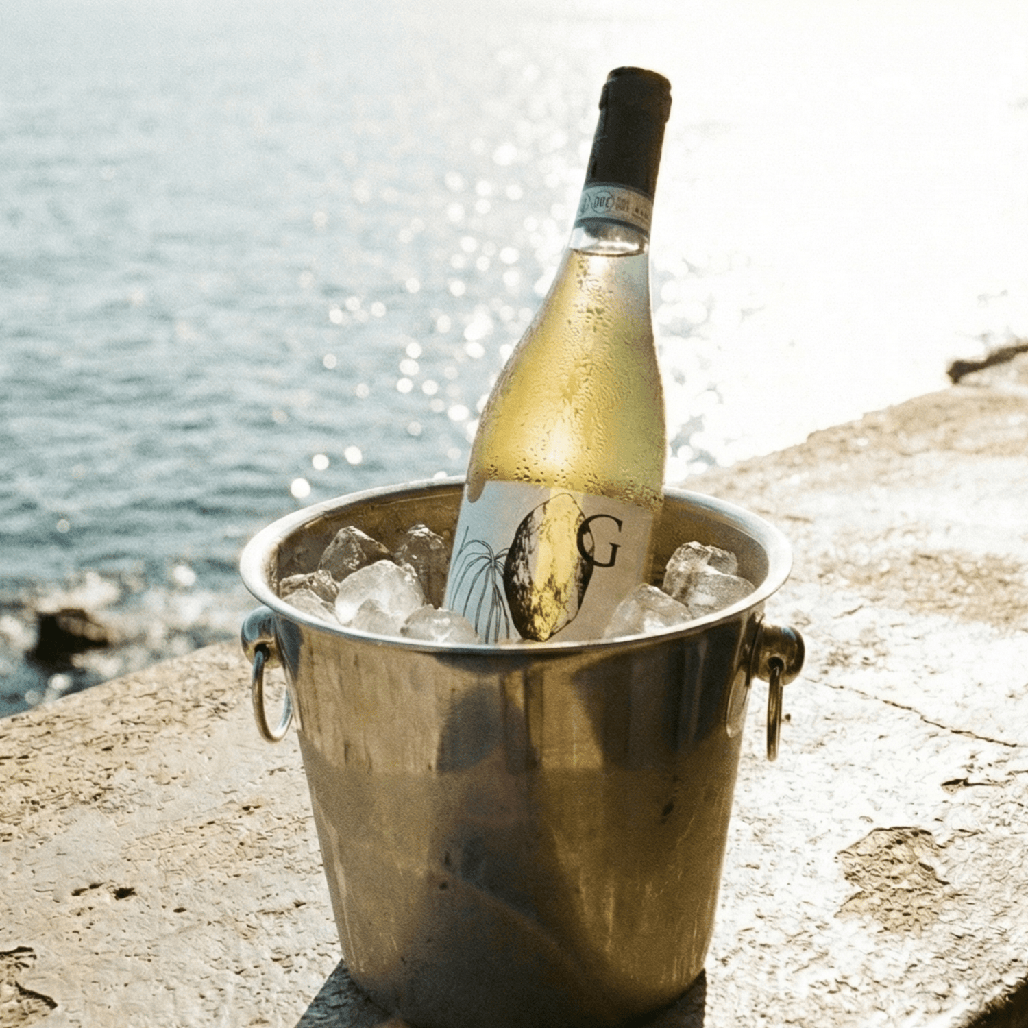 BESTSELLERS - THE EARTH WINE