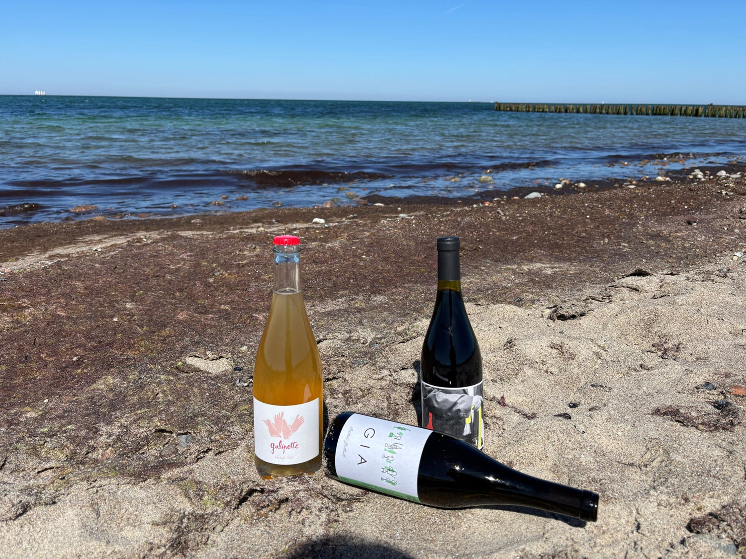 Summer Escape Collection - THE EARTH WINE
