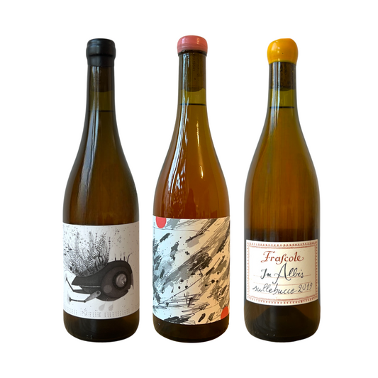 Three wine bottles with labels on a white background