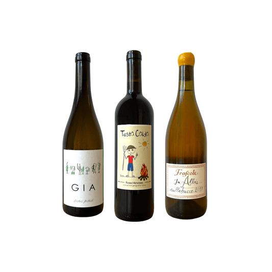 Staff Pick Pack - THE EARTH WINE
